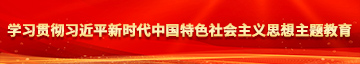 男人用鸡鸡插入美女小穴的视频软件学习贯彻习近平新时代中国特色社会主义思想主题教育